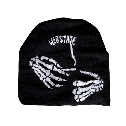 Webstate stash beanie - skate streetwear beanie with hidden pocket