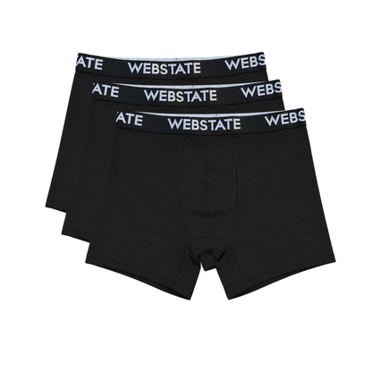 Webstate Knickers 3 Pack